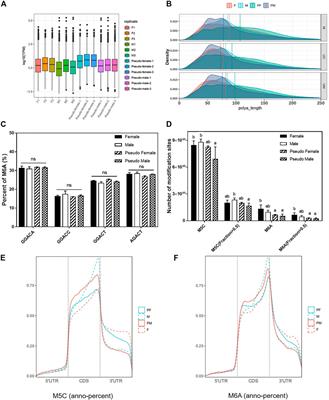 Direct Full-Length RNA Sequencing Reveals an Important Role of Epigenetics During Sexual Reversal in Chinese Soft-Shelled Turtle